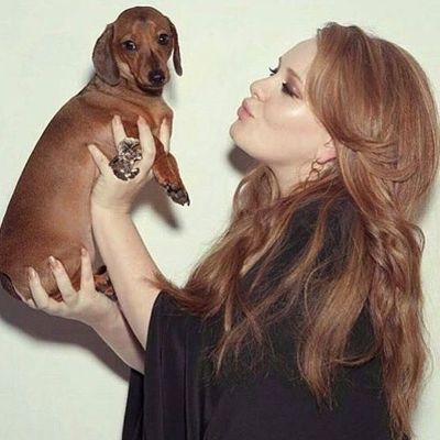 Famous Dachshund Owners