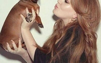 Famous Dachshund Owners